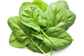 Espinac de proximitat - manat