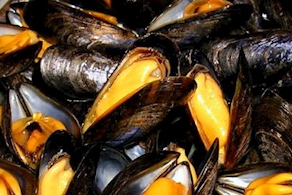 Musclo del buixot (500g aprox)