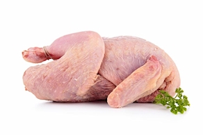 Docena de huevos de cordorniz