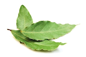 Laurel hojas enteras - bolsa