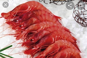 Gamba roja Huelva - 6 piezas (150g aprox)