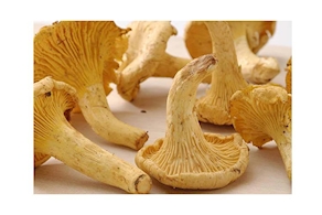 Bolet Rossinyol - A pes (250g aprox)