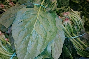 Espinaca de proximidad - manojo (300-400gr aprox)