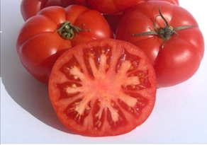 Tomàquet Rebel·lió - A pes (500g aprox)