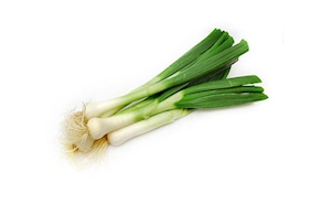 Spring Onion - unit