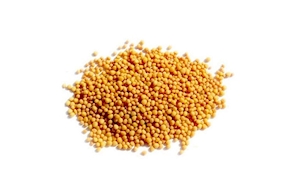 Semillas de mostaza (100g aprox)