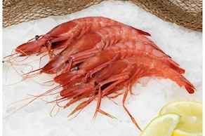 Gamba de Palamós (500 gr aprox)