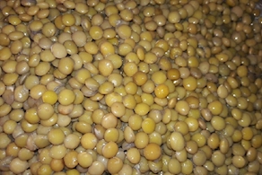 Lentejas cocidas - A peso (250 gr aprox)