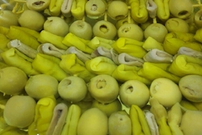 Bandereta gilda anxova - peça