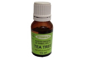 Aceite esencial árbol del té (15ml)