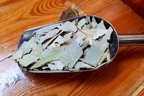 Eucalipto hojas cortadas (100g aprox)