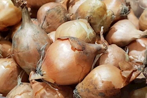 Cebolla Figueres de proximidad - A peso (500g aprox)