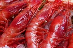 Gamba Huelva roja - 9 piezas  (200 gr aprox)