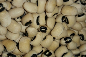 Frijol seco - A peso (100 gr aprox)