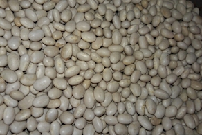 Judia Santa Pau seca - A peso (100 gr aprox)