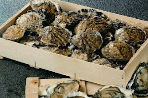 Ostrón - sólo por encargos (1 kg aprox)