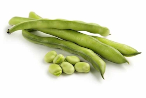 Faves de proximitat - A pes (500g aprox)