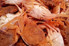 Cangrejo para fumet (500 gr aprox)