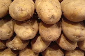 Patates kennebec - A pes (500g aprox)