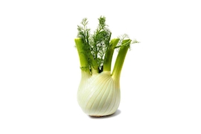 Bulb de Fonoll Ressó - unitat