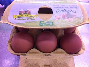 Huevos ecológicos – 6 unidades (300 gr aprox)