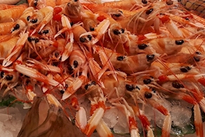 Cigalita fresca pequeña - entre 10 a 12 piezas (250g aprox)