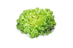 Escarola de proximidad - unidad