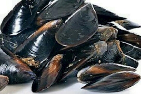 Mejillón de roca o dátil depende temporada (1 kg aprox)