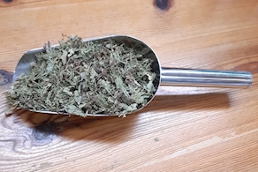 Estevia fulla seca - A granel (100g aprox)