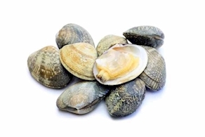 Almejas cultivo mediano (500g aprox)