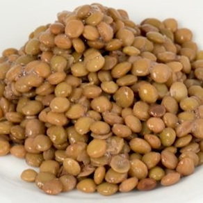 Lenteja de Salamanca