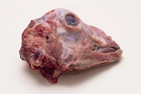 Cabeza de cabrito