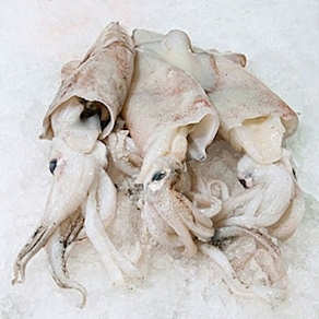 Calamar mediano (500g aprox)