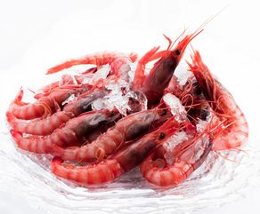 Gamba roja congelada a bordo - Al peso (500 gr aprox.)