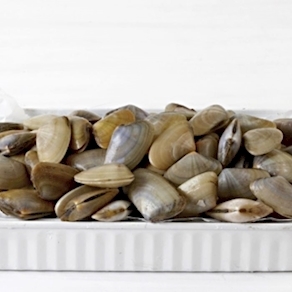 [POR ENCARGO] Tallarinas/coquinas (500g aprox)