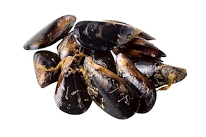 Mejillón gallego (1kg aprox)
