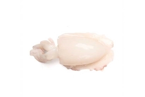 Sèpia fresca (500g aprox)