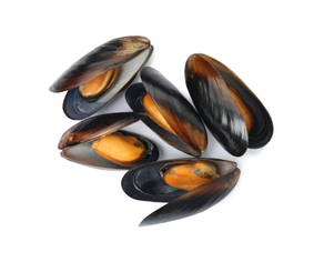 Mejillones Galicia - Al peso (500 gr aprox.)