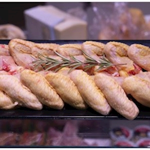 Gall dindi blanquites