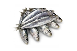 Sardines (500g aprox)