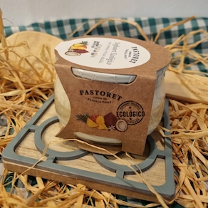 Yoghourt Ecológico Coco y Piña 135g (Pastoret)