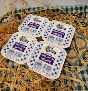 Yogur natural sin lactosa