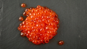 Huevas de salmón 50gr (1u)