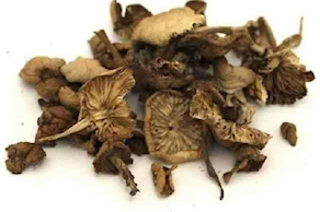 Moixernons deshidratados (25g)