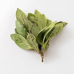 Laurel (50 gr aprox)
