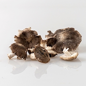 Girgola (500 gr aprox)