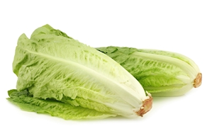 Lechuga Larga (100 gr aprox)