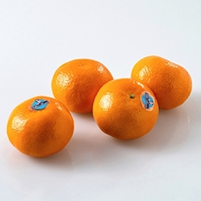 Mandarina Okitsu (1 kg aprox)