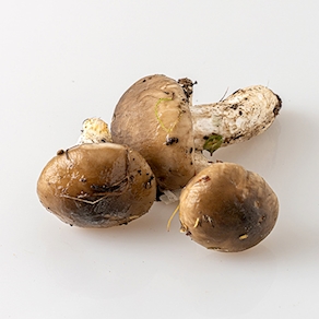 Ou De Reig (200 gr aprox)