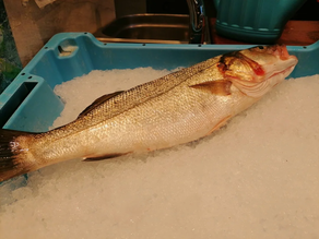 Lubina salvaje mediterránea - Al peso (1 kg aprox.)